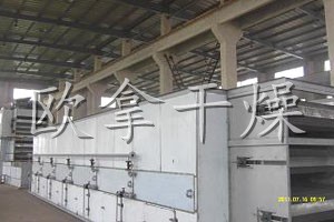 DWT系列脱水蔬菜干燥机